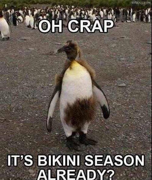 It's bikini season