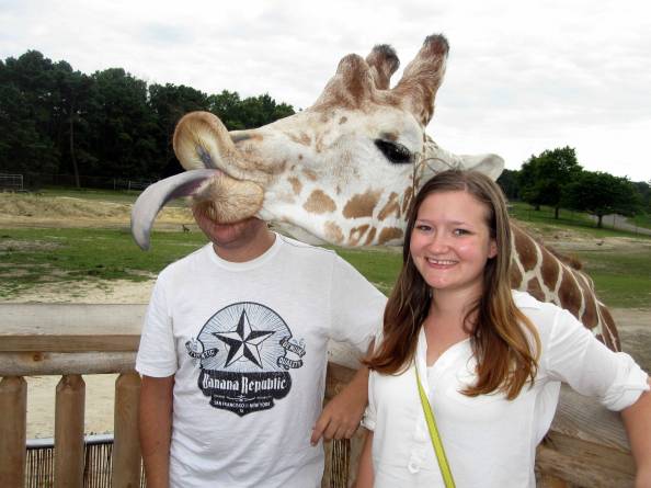 Giraffe photobomb