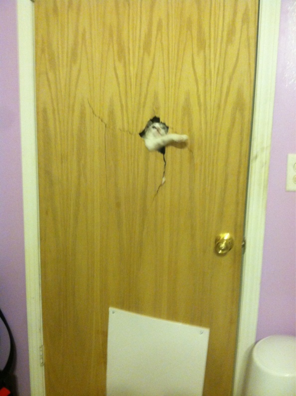 One does not simply lock away a cat