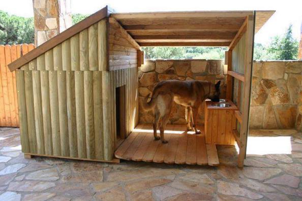 Now that's a #doghouse